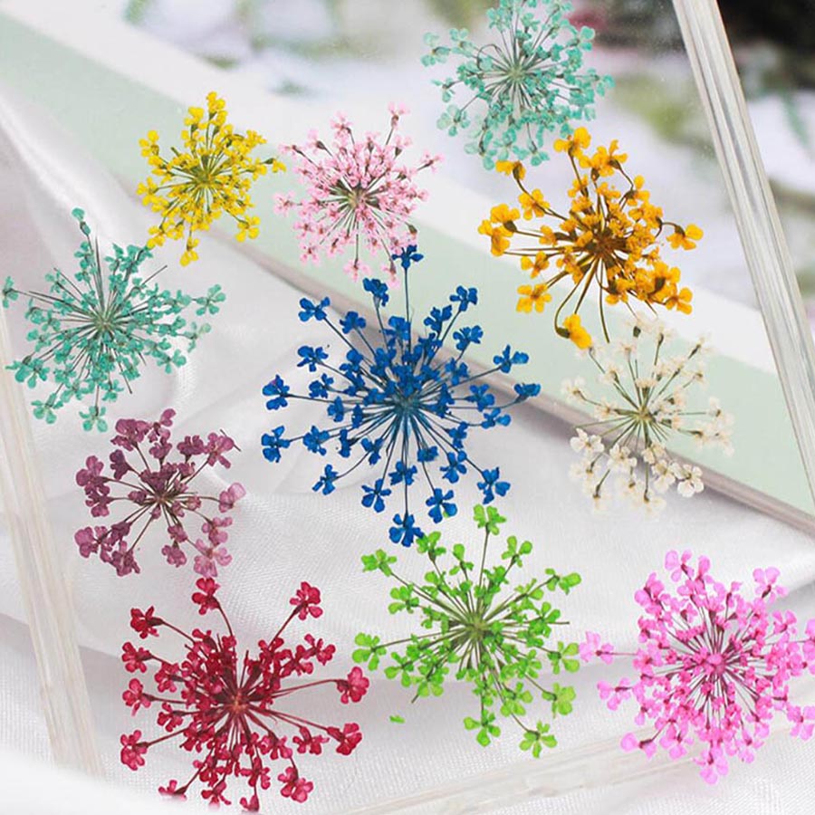 60pcs Pressed Dried 15-20mm Am - Dried Flower Bookmark 리뷰 및 가격