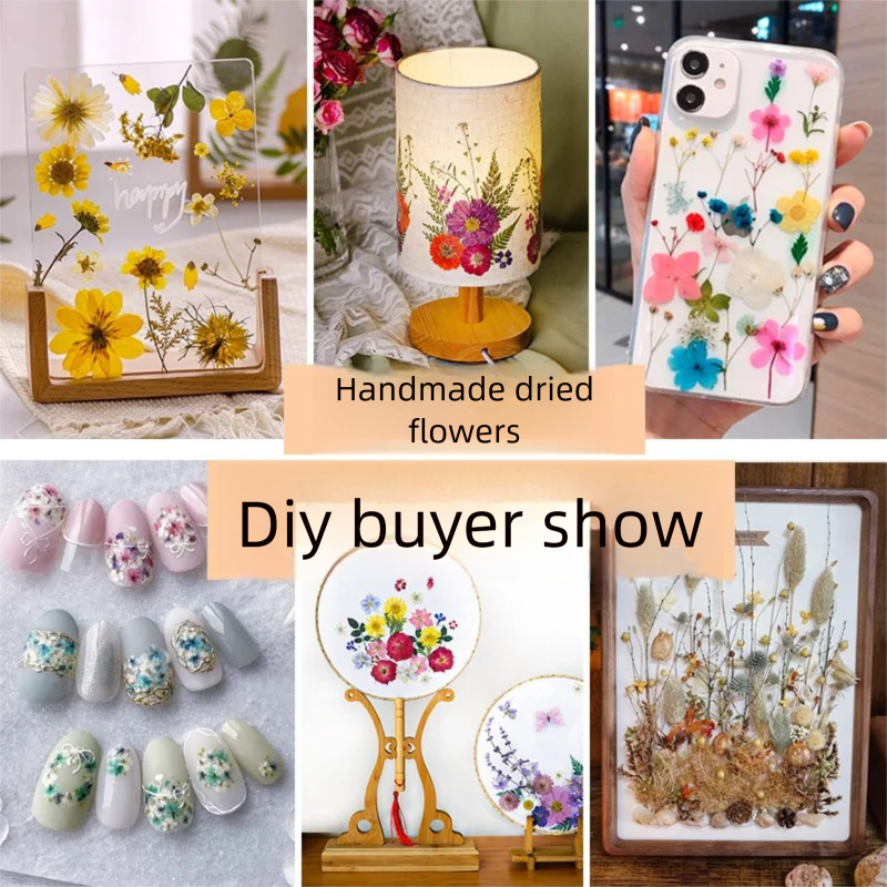 Mixed Dried Flowers, Pressed F - Dried Flower Bookmark 리뷰 및 가격