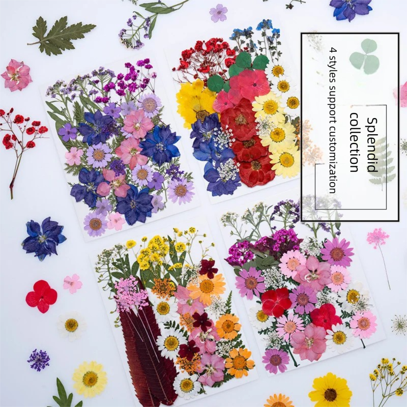 Mixed Dried Flowers, Pressed F - Dried Flower Bookmark 리뷰 및 가격
