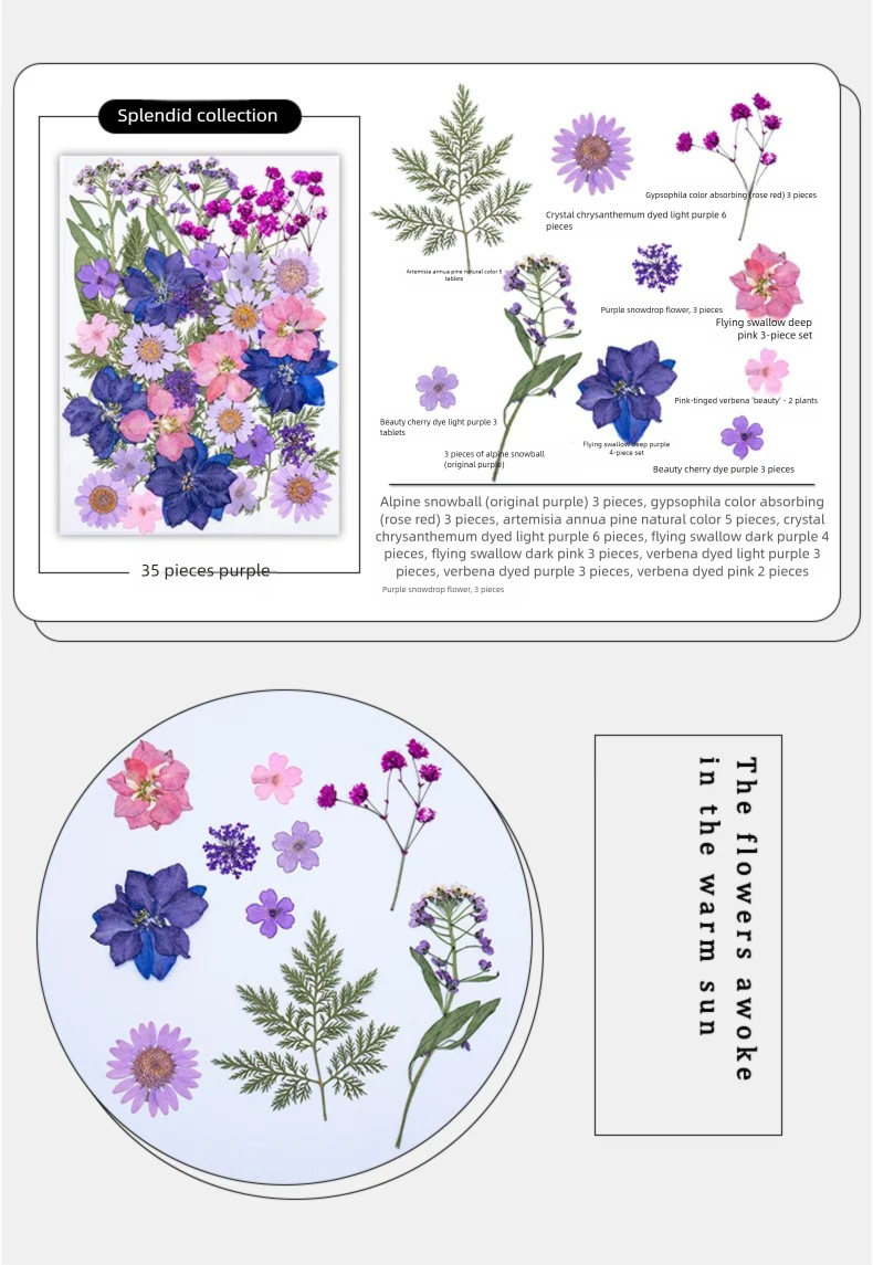 Mixed Dried Flowers, Pressed F - Dried Flower Bookmark 리뷰 및 가격