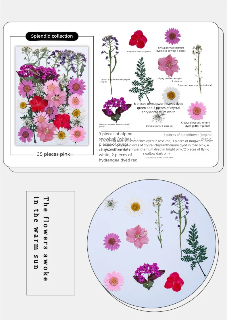 Mixed Dried Flowers, Pressed F - Dried Flower Bookmark 리뷰 및 가격