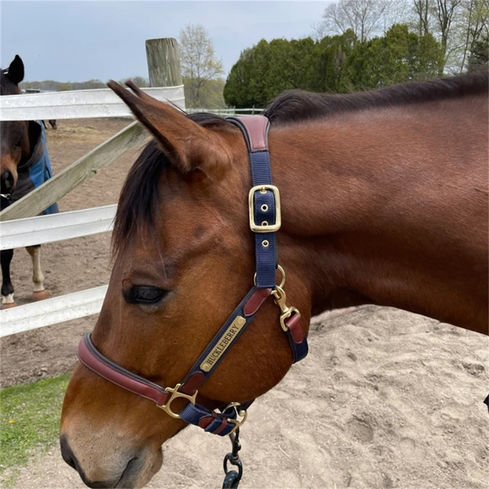 2pcs Custom Horse Name Marting - Pet Portrait Custom 리뷰 및 가격