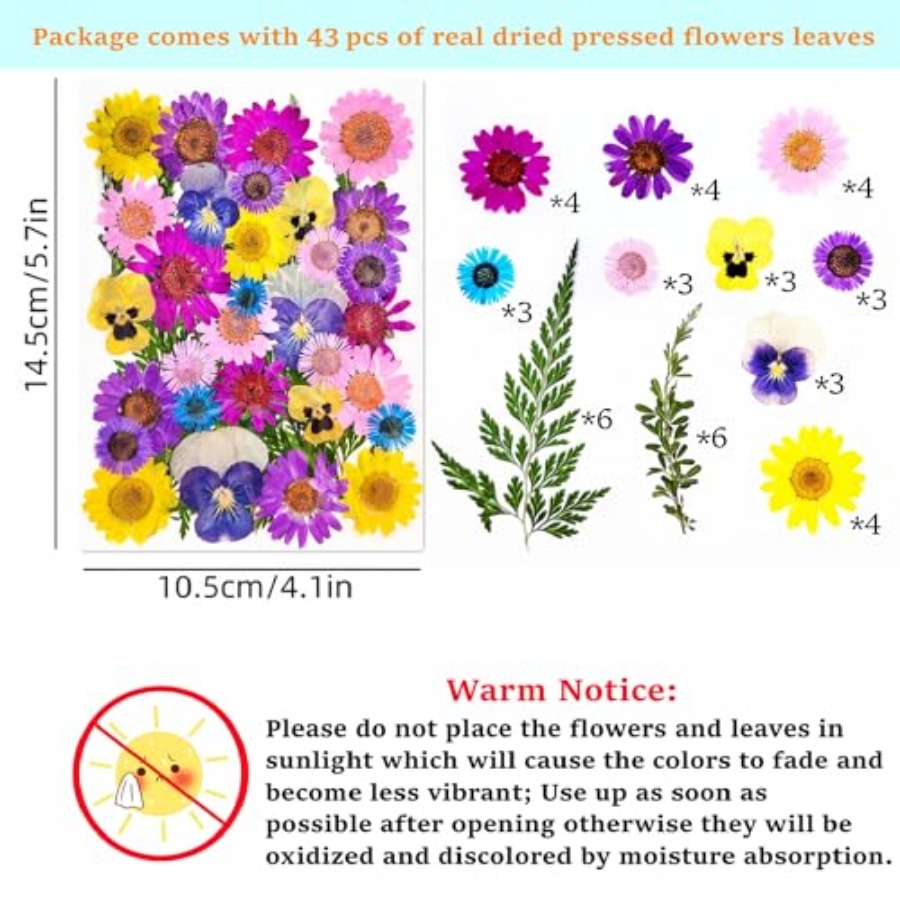 Cardstock Blank Bookmarks Set, - Dried Flower Bookmark 리뷰 및 가격